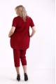 01786-3 | Элегантный бордовый костюм (бриджи+блузка)