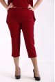 01786-3 | Элегантный бордовый костюм (бриджи+блузка)