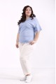 01788-2 | Лаконичная стильная светло-синяя блузка